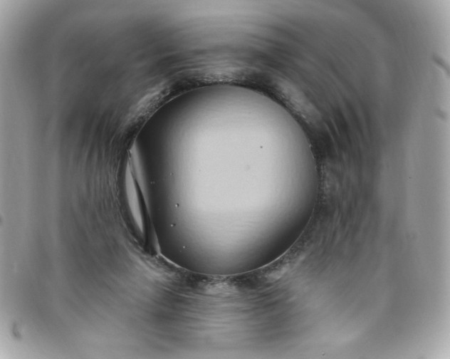 X0000097770258200803211743