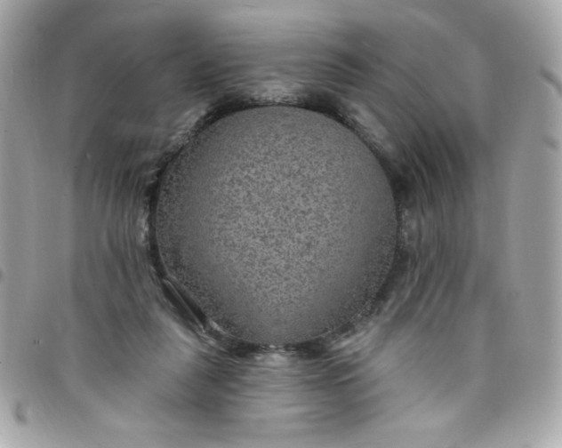 X0000097770259200803211743