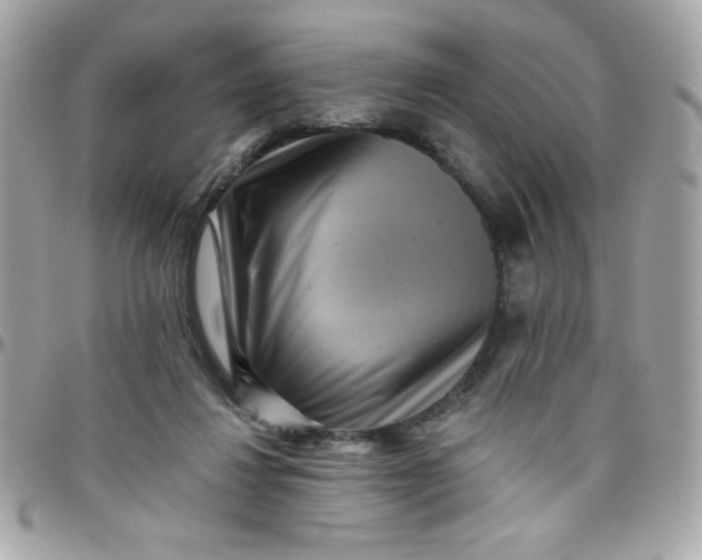 X0000097770260200803211743