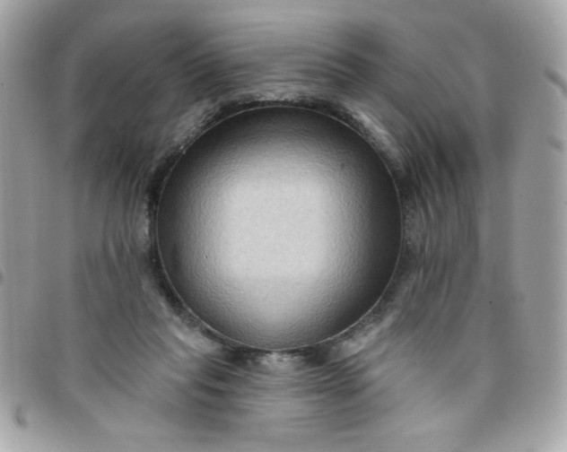 X0000097770261200803211743