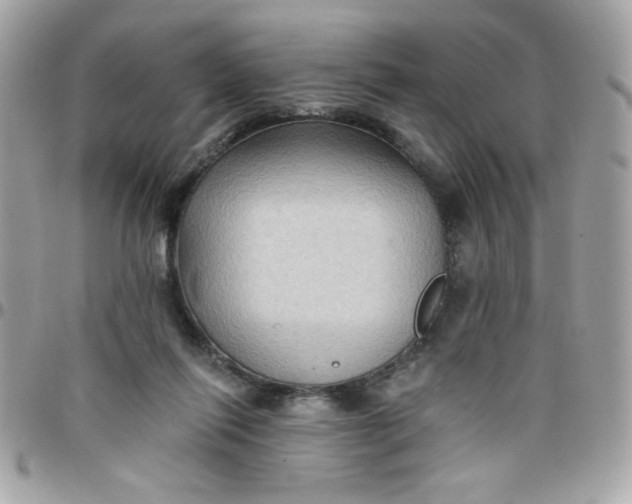 X0000097770262200803211743