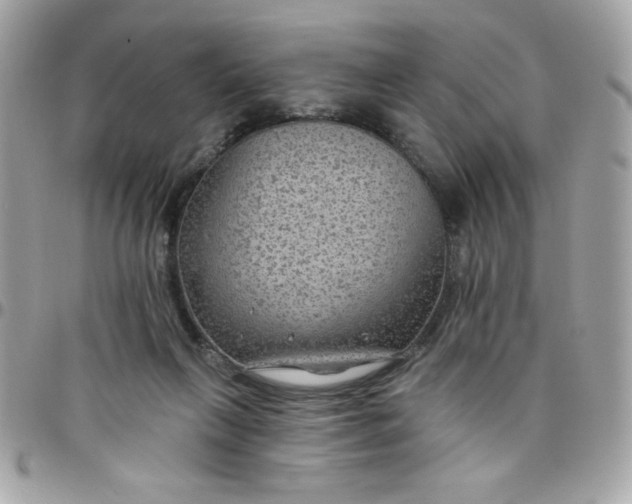 X0000097770263200803211743