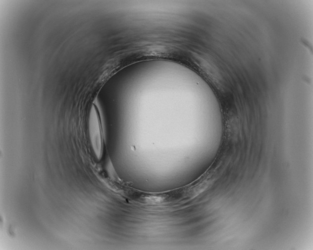 X0000097770265200803211743