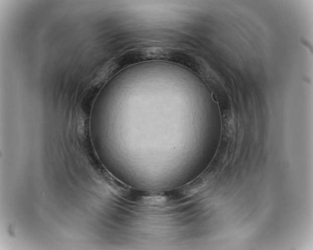 X0000097770266200803211743