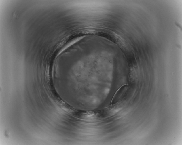 X0000097770267200803211743