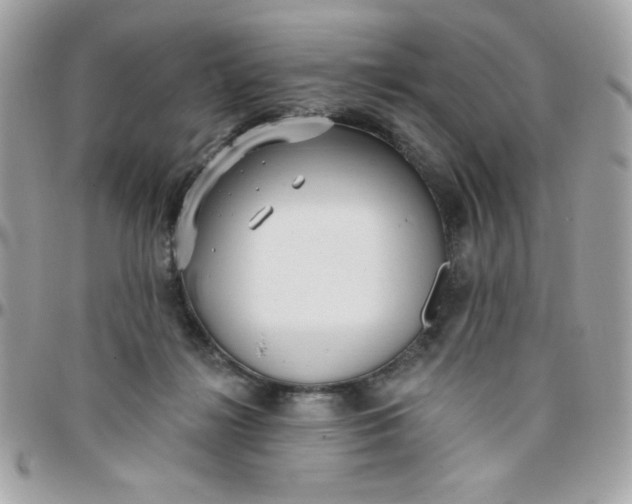 X0000097770268200803211743