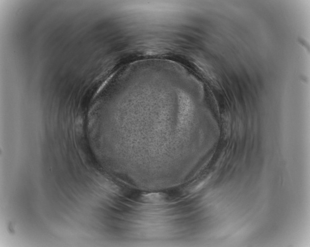 X0000097770269200803211743