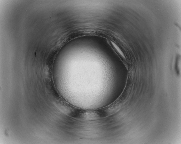 X0000097770270200803211743