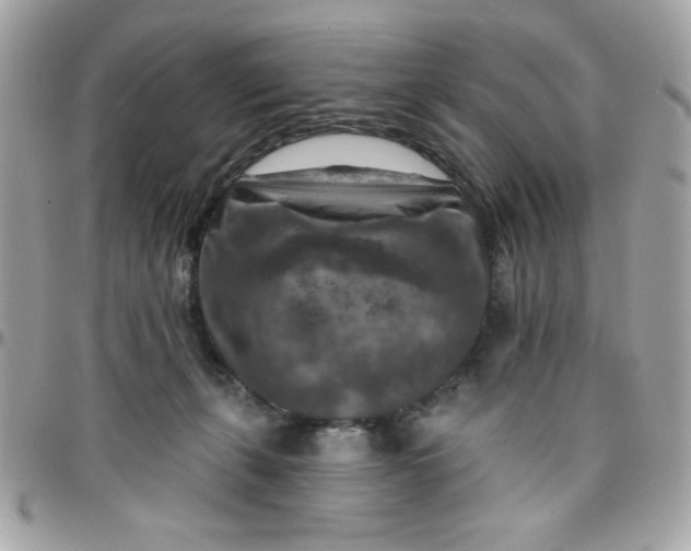 X0000097770271200803211743