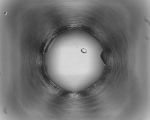 X0000097770272200803211743