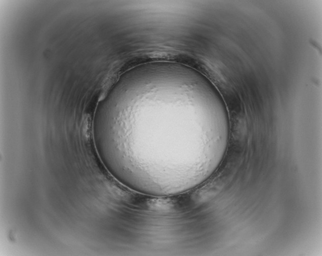 X0000097770273200803211743