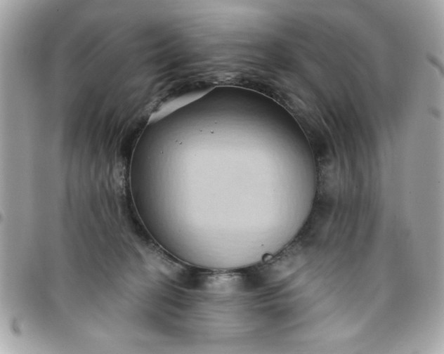 X0000097770274200803211743