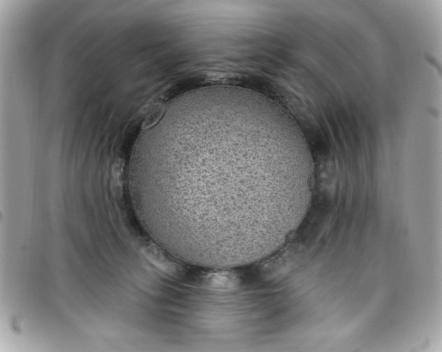 X0000097770275200803211743