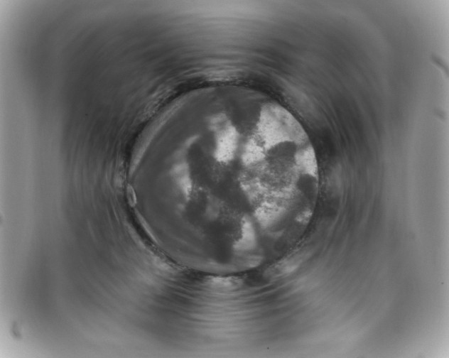 X0000097770277200803211743