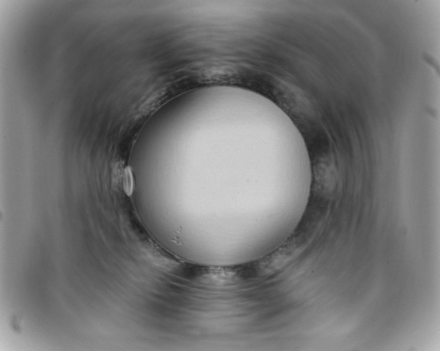 X0000097770278200803211743