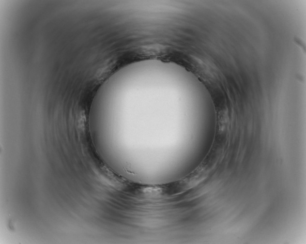 X0000097770279200803211743