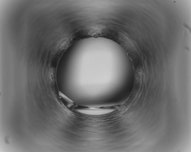 X0000097770280200803211743