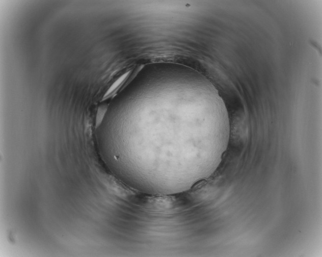 X0000097770282200803211743