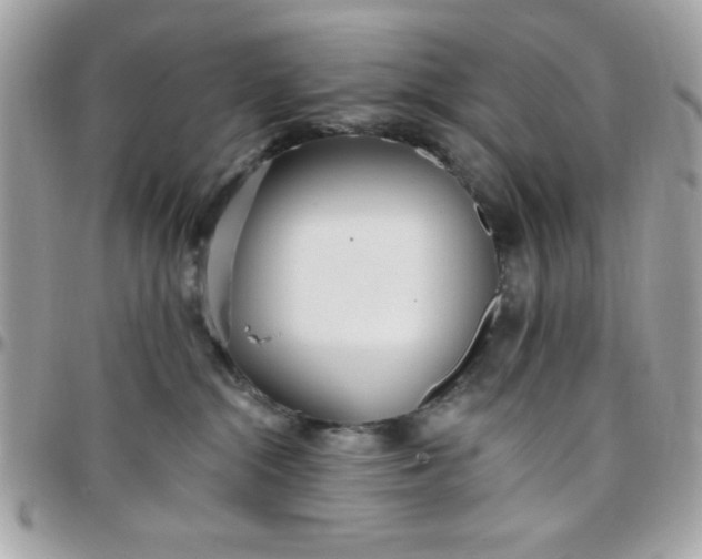 X0000097770284200803211743