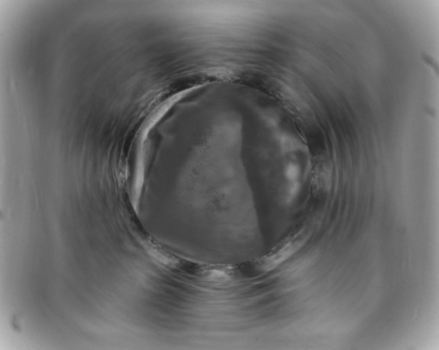 X0000097770285200803211743