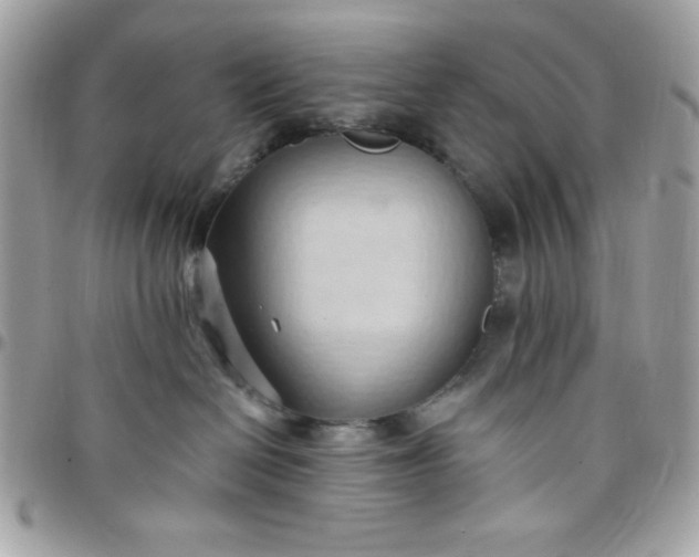 X0000097770286200803211743