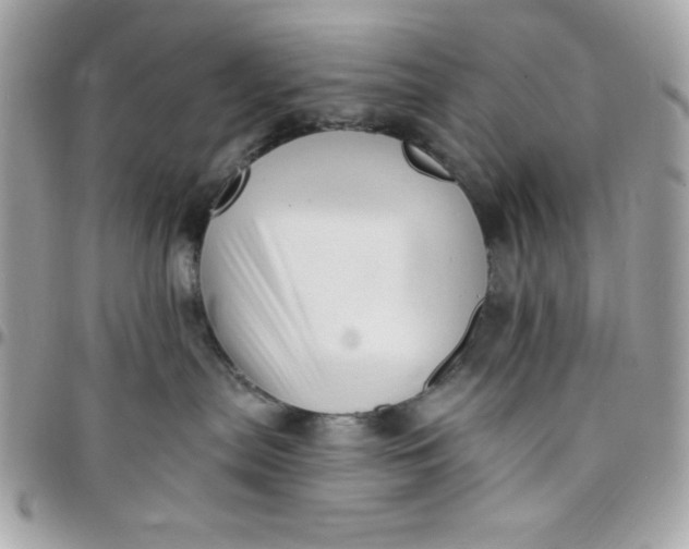 X0000097770287200803211743