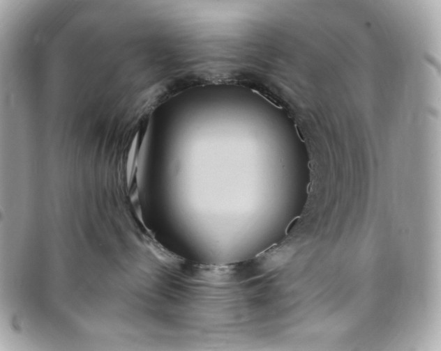 X0000097770288200803211743