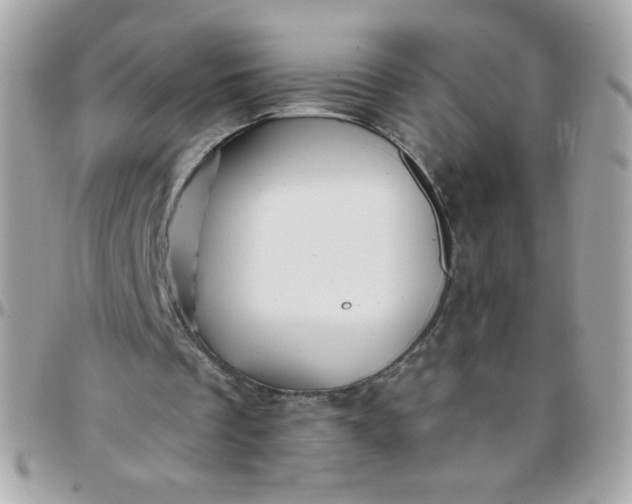 X0000097770289200803211743