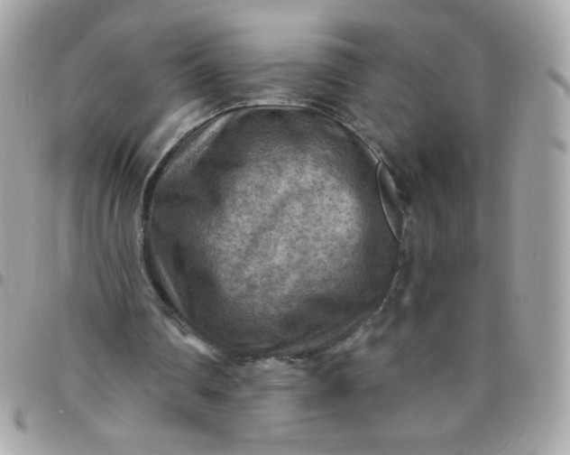 X0000097770290200803211743