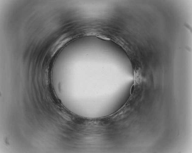 X0000097770291200803211743