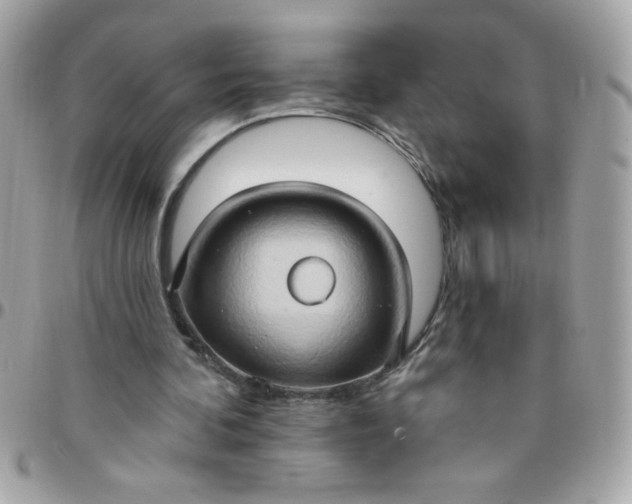 X0000097770292200803211742