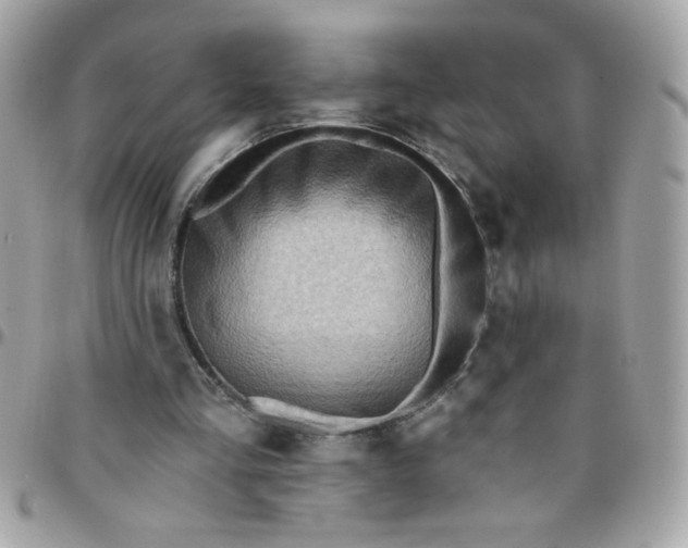 X0000097770293200803211742