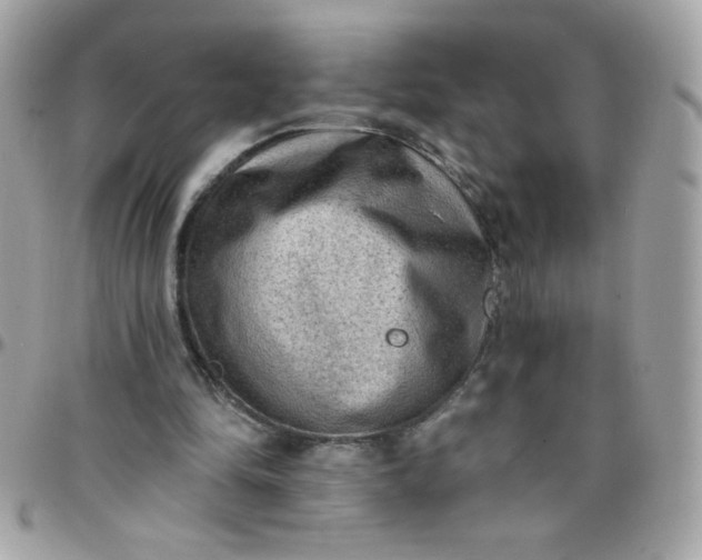 X0000097770294200803211742