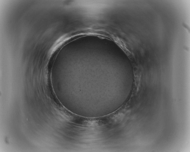 X0000097770295200803211742