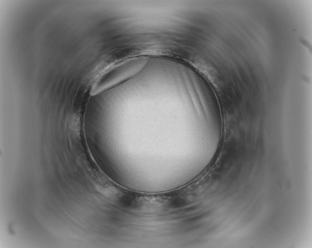 X0000097770297200803211742