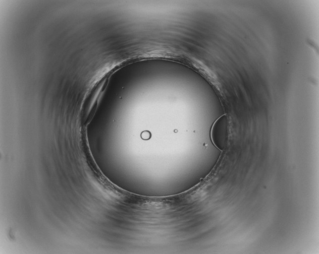 X0000097770298200803211742