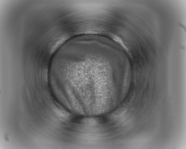 X0000097770299200803211742