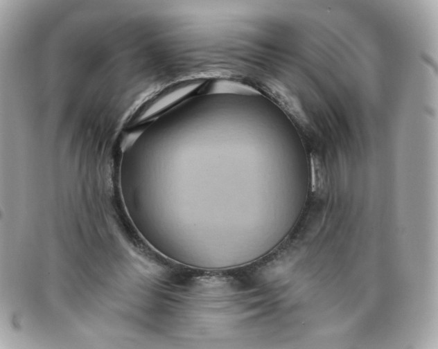 X0000097770300200803211742