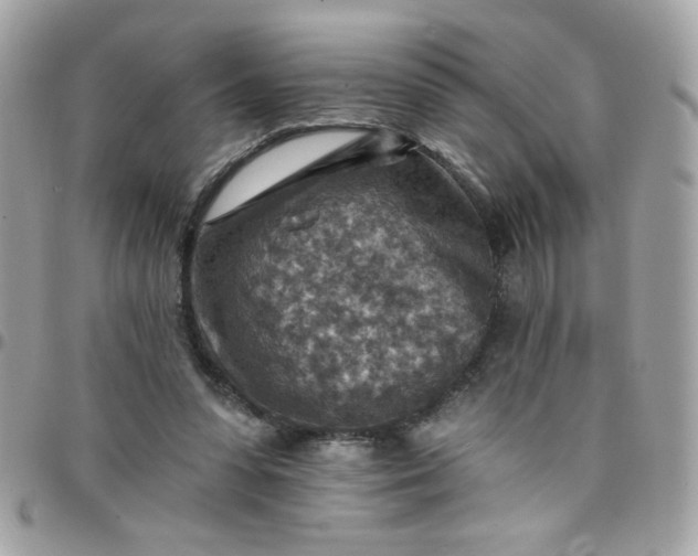 X0000097770303200803211742