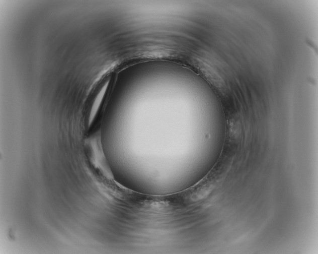 X0000097770304200803211742