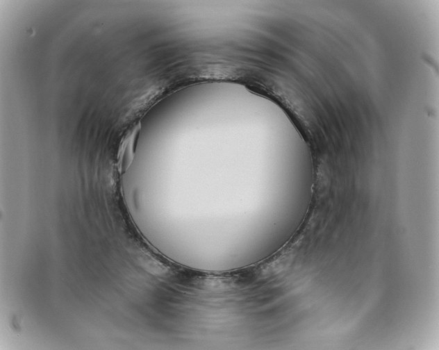 X0000097770305200803211742