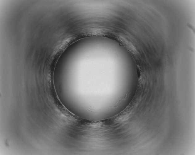 X0000097770306200803211742