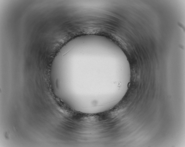 X0000097770307200803211742