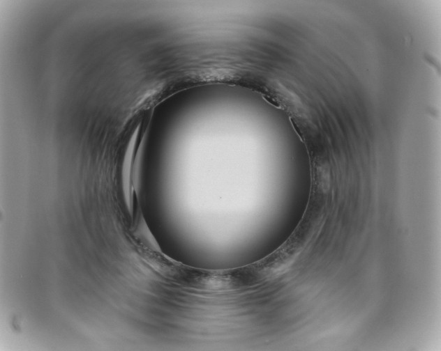 X0000097770308200803211742