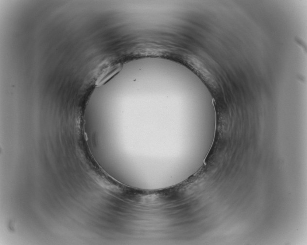 X0000097770309200803211742