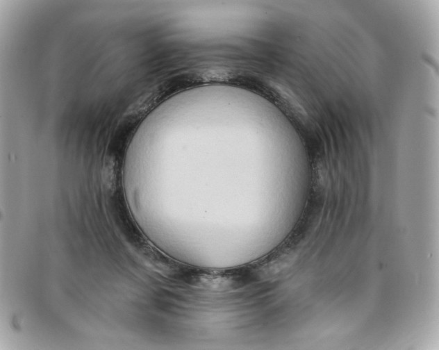 X0000097770311200803211742