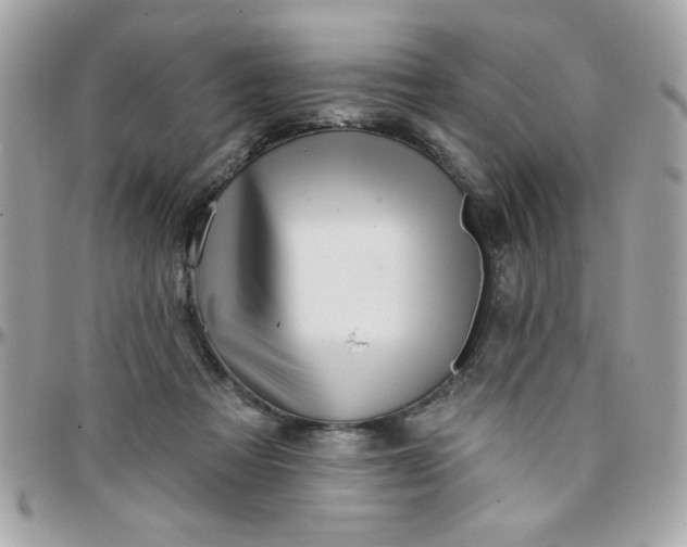 X0000097770313200803211742