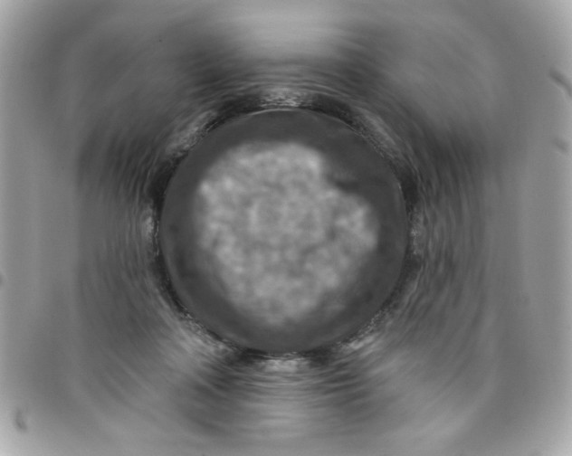 X0000097770314200803211742