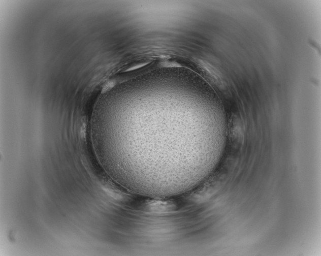 X0000097770315200803211742