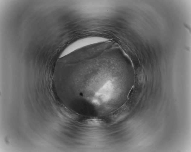 X0000097770316200803211742